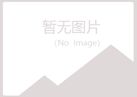 宝应县白山化学有限公司